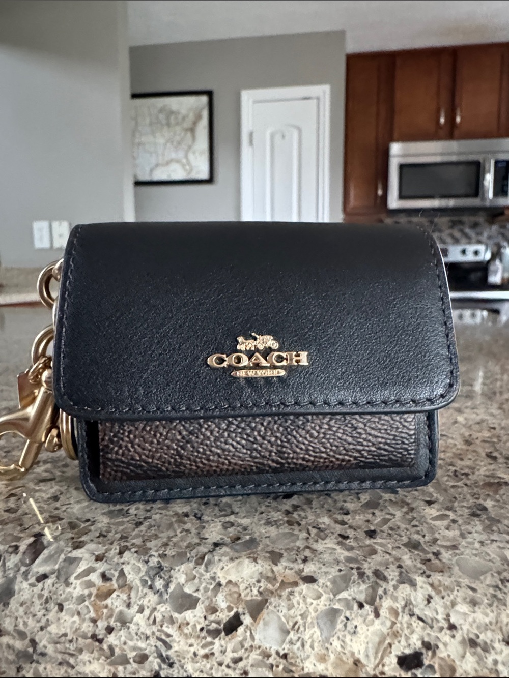🖤Coach Black Leather Mini Pouch with Brown Pebbled Accent and Gold Hardware NWOT